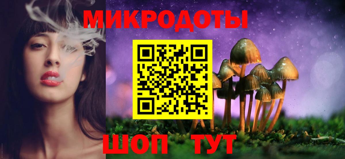 Рассказово  Псилоцибиновые грибы MAGIC MUSHROOMS  Вход с VPN  Псилоцибиновые грибы Psilocybe 